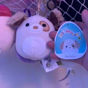 I am selling a Harrison squish mellow clip